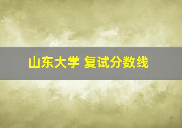 山东大学 复试分数线